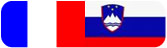 Francosko slovenski slovar