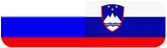 Rusko slovenski slovar
